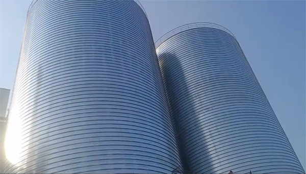 环翠2座混凝土高架卷板仓